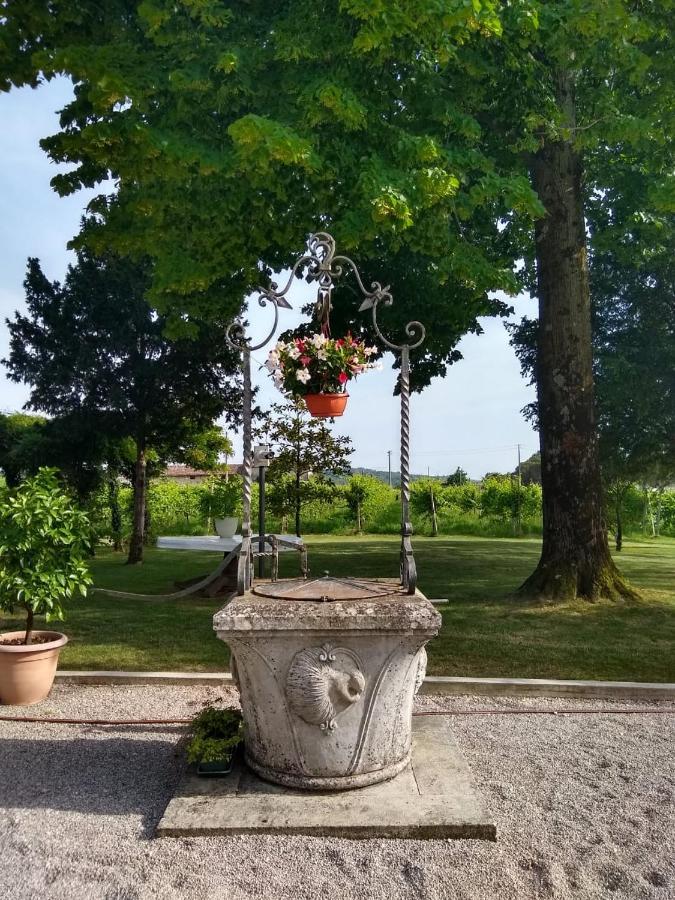 Alle Zagare Refrontolo Buitenkant foto