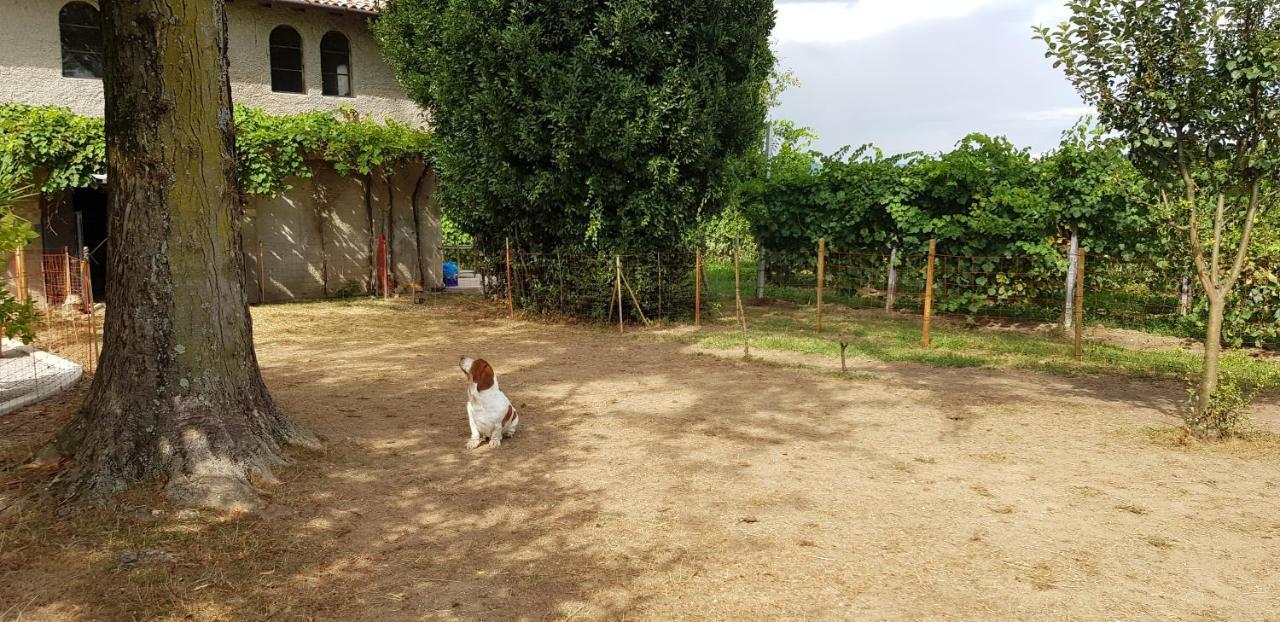 Alle Zagare Refrontolo Buitenkant foto